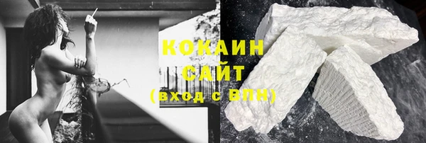 PSILOCYBIN Аркадак