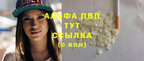 PSILOCYBIN Аркадак