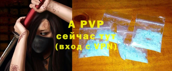 PSILOCYBIN Аркадак