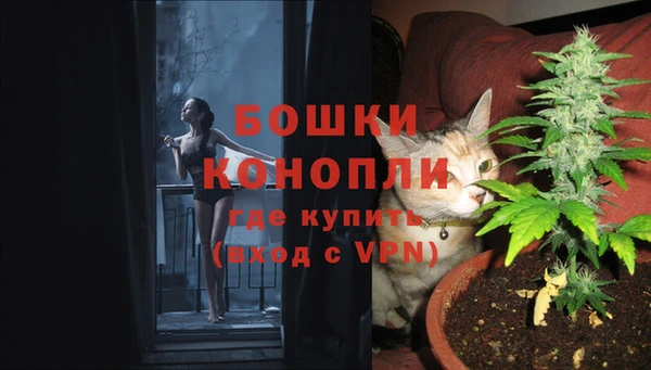 ALPHA PVP Арсеньев