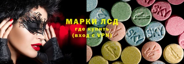 PSILOCYBIN Аркадак