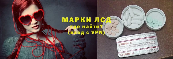 PSILOCYBIN Аркадак