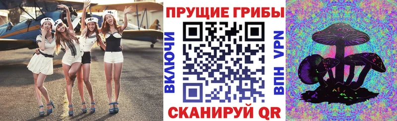 купить цена Кореновск Псилоцибиновые грибы ЛСД