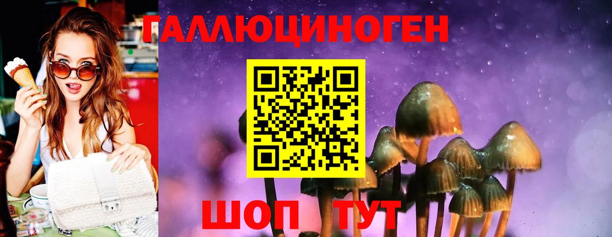 Галлюциногенные грибы ЛСД  Галлюциногенные грибы Cubensis  купить   Вход с VPN  Кореновск 